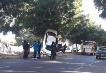 Auto queda encima de árbol tras accidente en la carretera Culiacán-Navolato
