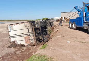 Tráiler cargado con mariguana vuelca, en Culicancito, Elota