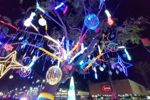 ¡La Navidad llega a Los Mochis! Encienden árboles y luces en diversos puntos de la ciudad