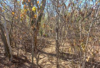 Encuentran cuerpo calcinado en San Blas, tenía pocos días en el lugar