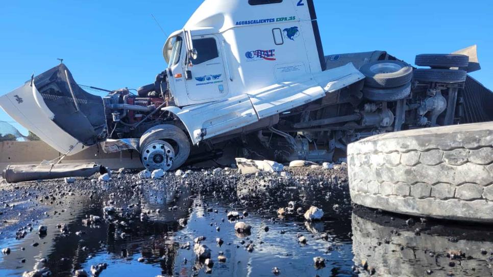 Vuelca tráiler con 50 cabezas de ganado vacuno en la México 15