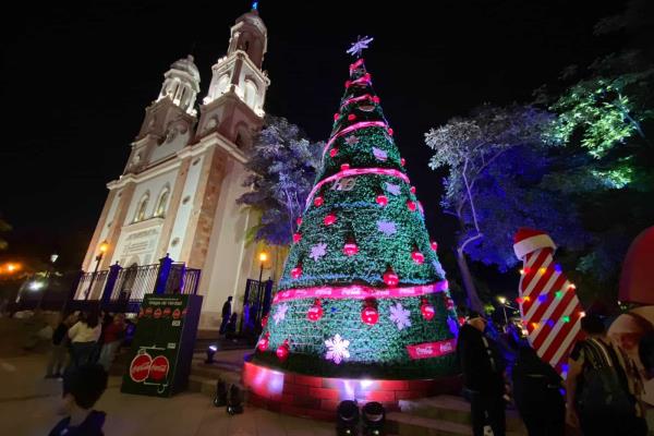 Ayuntamiento de Culiacán enciende las luces del pinito navideño
