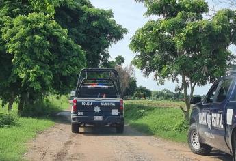 Localizan a un hombre sin vida abajo de un árbol en Tecomate, Guasave