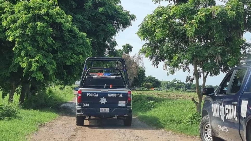 Localizan a un hombre sin vida abajo de un árbol en Tecomate, Guasave