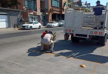 Vuelven los estacionamientos al Paseo Claussen en Mazatlán