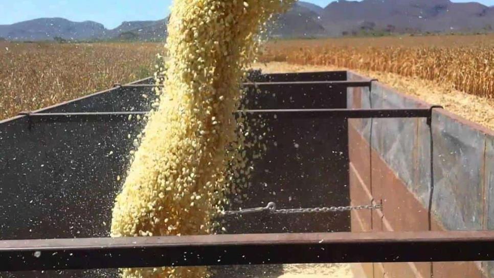 Urgente fortalecer la agricultura comercial y el tema del agua: CAADES