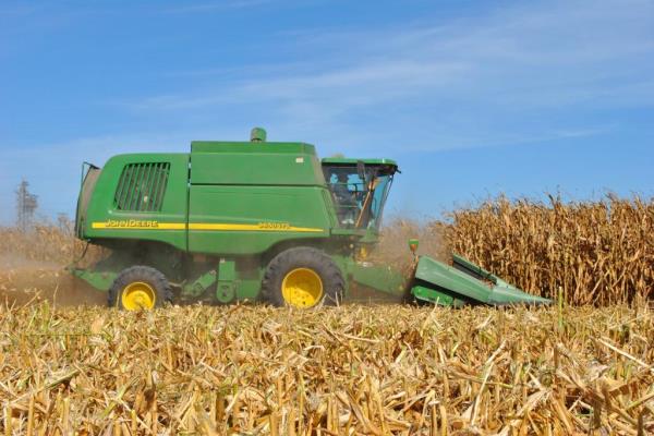 Más de 3 mil productores sinaloenses quedan fuera de programa de Segalmex