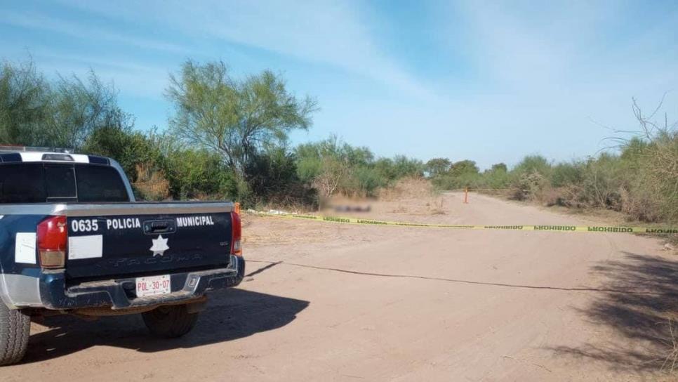 Encuentran a un hombre asesinado y con huellas de tortura junto a tierras de cultivo en El Burrión, Guasave