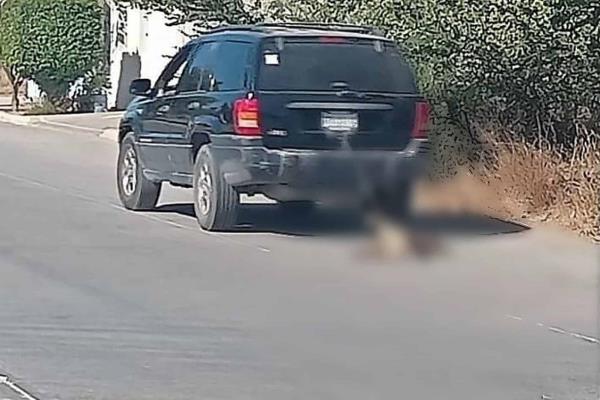 Captan a sujeto arrastrando a un perro con su camioneta en Los Mochis | VIDEO