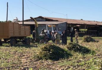 Joven molía pasto con un molino agrícola y muere tras amputación de un brazo en El Porvenir