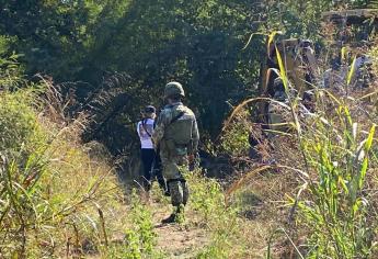 Buscan cuerpos sin vida en zona enmontada en Mazatlán