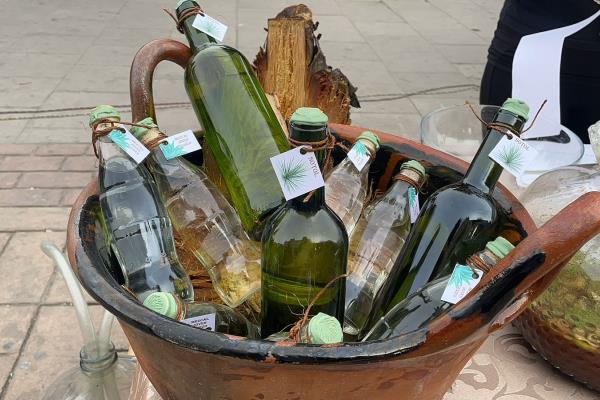 Durango ve a Sinaloa como aliado y no competencia, en producción de mezcal
