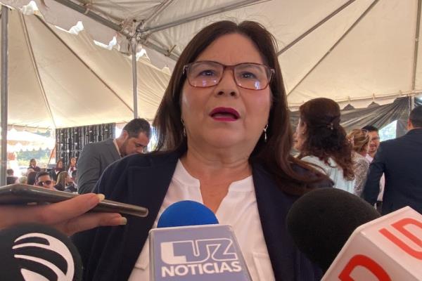 Prohibición del polarizado no deberá ser recaudatoria: Imelda Castro
