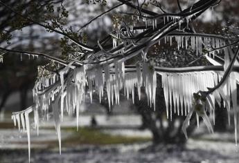 Pronostican heladas en 23 estados este miércoles