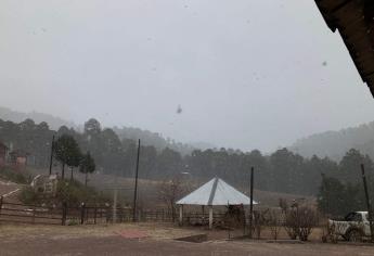 Cae nieve en Santa Gertrudis, Badiraguato; habitantes se emocionan por las primeras nevadas