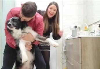 Jóvenes se encierran con su perrito en el baño para protegerlo de los fuegos artificiales | VIDEO
