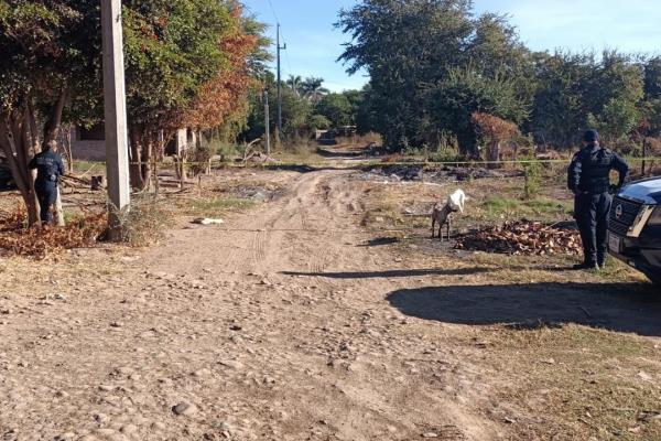 Localizan a hombre asesinado en el sector San Joachín de Guasave