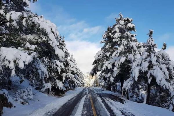 Temporada de nieve en Barrancas del Cobre