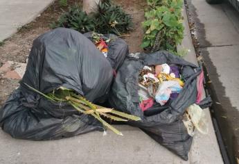Mala recolección de basura en Ahome: OP Ecología no pasa desde el año pasado