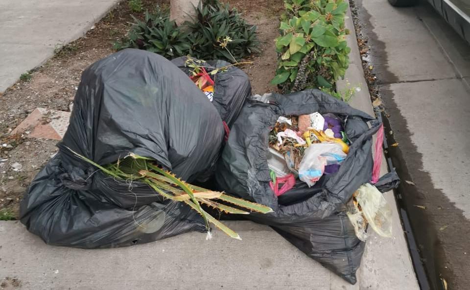 Mala recolección de basura en Ahome: OP Ecología no pasa desde el año pasado