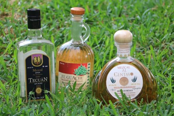 Los 5 mejores mezcales para tener en tu cava