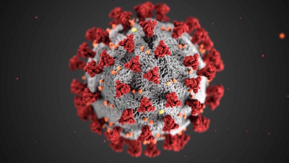 Detectan nueva variante del covid; conoce los síntomas nuevos