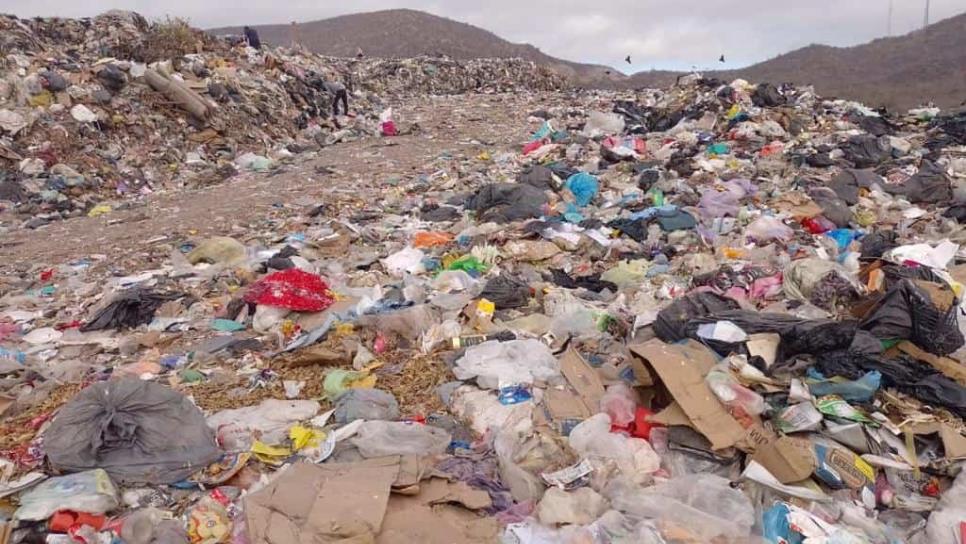 Denuncian problemas de basura en Los Mochis