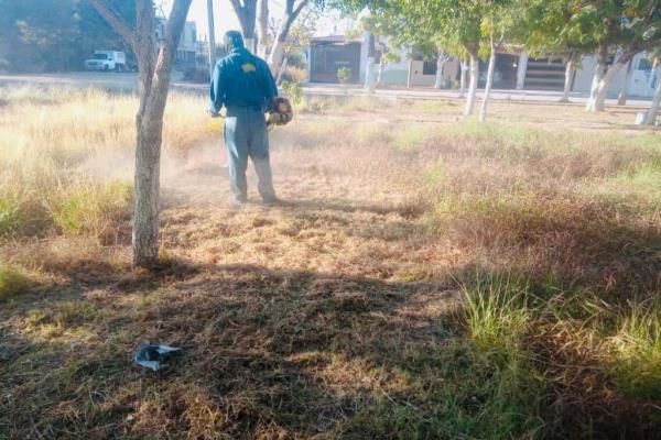 Ayuntamiento de Ahome va por embellecimiento de las 7 sindicaturas