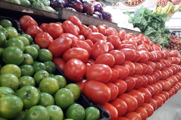 Depreciación del dólar afecta al sector agrícola
