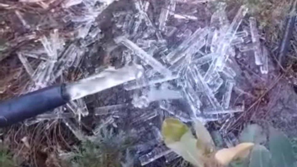 Sale hielo de las mangueras en Santa Gertrudis, Badiraguato