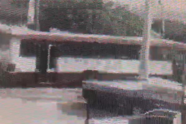 ¡Increíble! Vialidad y Transportes desconoce quién manejaba el camión que atropelló a mujer en Culiacán