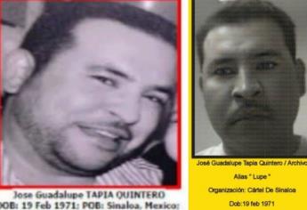 ¿Quién es «Lupe Tapia»? el sinaloense, lugarteniente de «El Mayo» Zambada