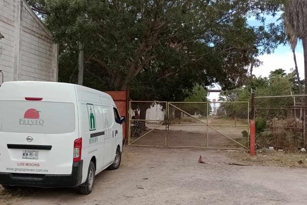 Muerto y colgado encuentran a hombre en el ingenio azucarero de Los Mochis