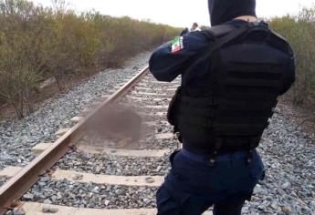 «Trampa» cae del tren carguero y muere cerca de los límites de Sinaloa y Sonora