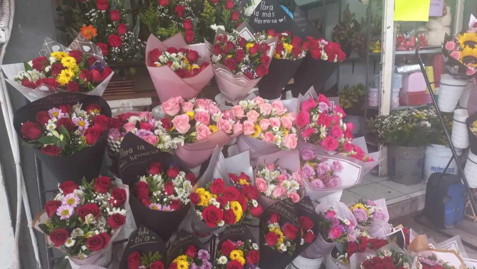 Ramo de rosas «buchón o normalito» ¿Cuál prefieren los sinaloenses el 14 de febrero?