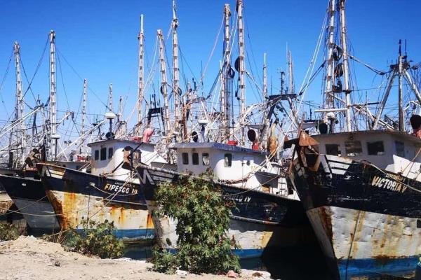 Mazatlán vive como nunca un panorama oscuro y sin soluciones en el sector pesquero