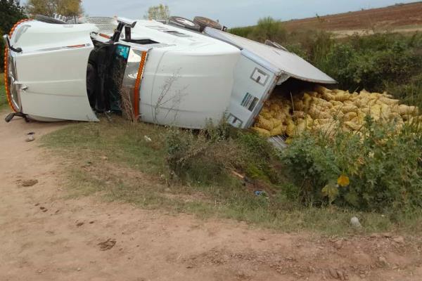 ¡Le ganó la carga! Vuelca tráiler cargado de papas en Guasave