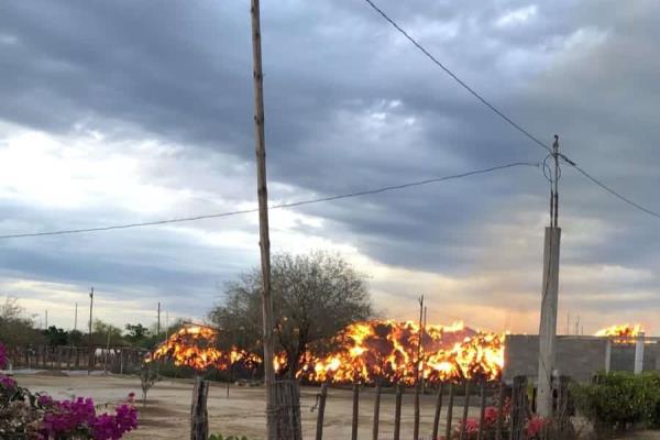 Pérdida millonaria: se queman siete mil pacas de maíz en la sindicatura de Emiliano Zapata, Culiacán