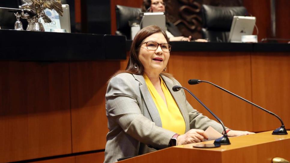 «La oposición se ha dedicado a desinformar sobre el Plan B»: Imelda Castro