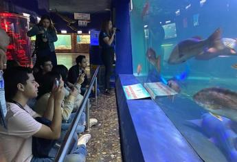 Acuario Mazatlán cerrará sus puertas a más tardar el 25 de marzo