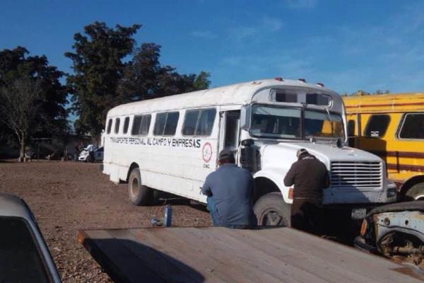 Rescatan a 20 niños que llevaban a trabajar al campo en Ahome