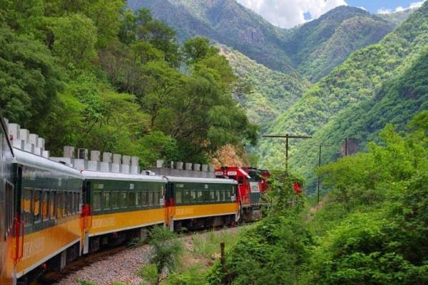 Tren El Chepe: ruta, horario, costos y todo lo que debes saber