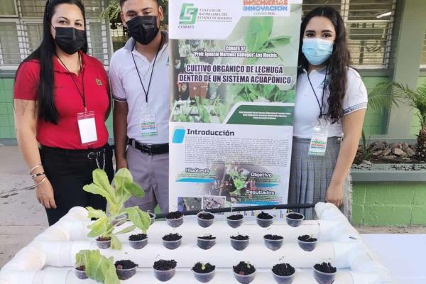 Cobaes participa con 18 proyectos de alumnos en la Feria Mexicana de Ciencias e Ingenierías 2022