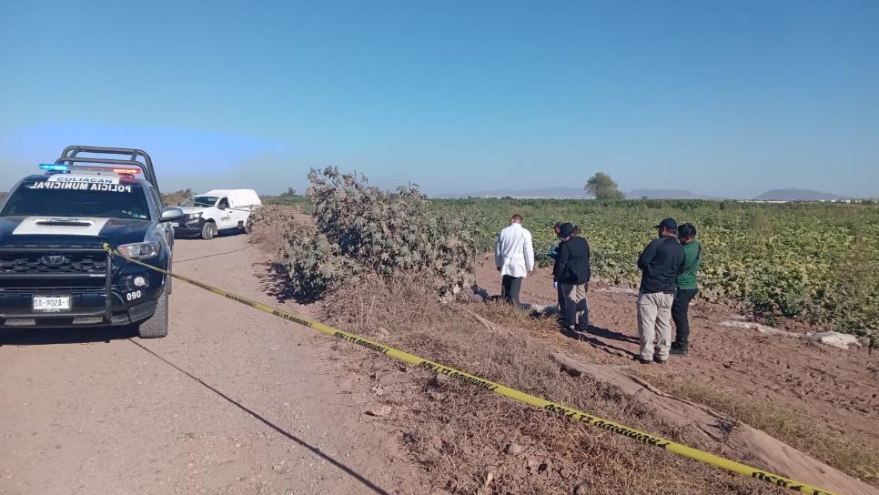 Abogado Jesús Ríos, el hombre hallado asesinado en Culiacancito