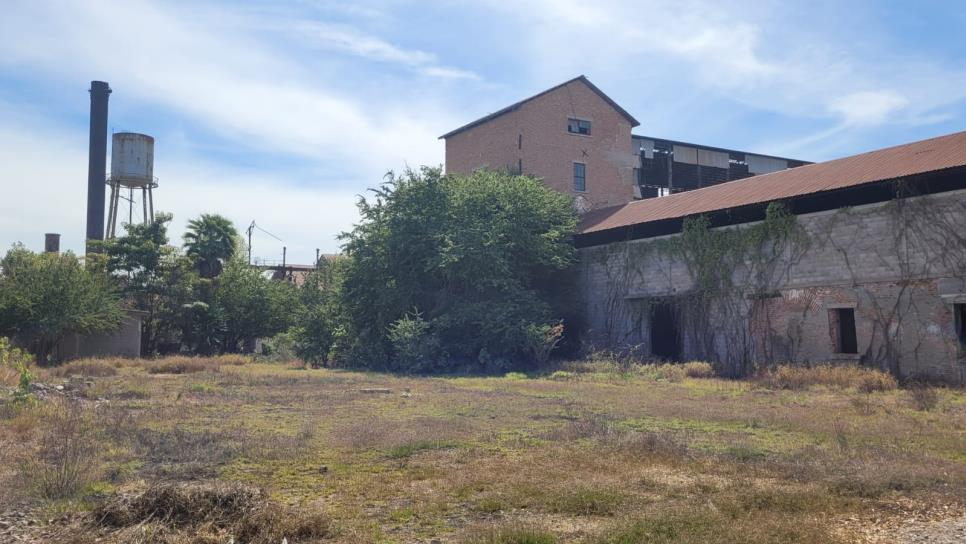 Proponen parque temático en terrenos del Ingenio en Los Mochis