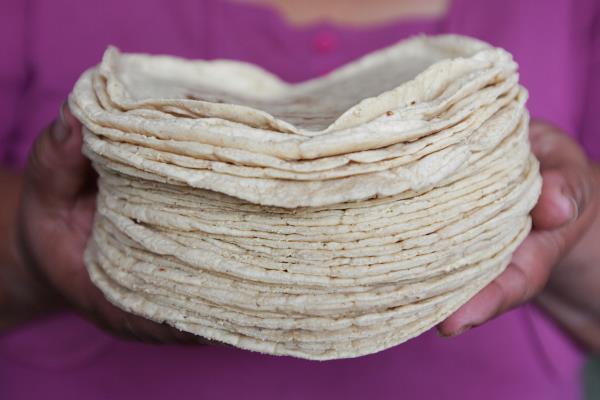 El kilo de tortillas sube a 26 pesos en Culiacán