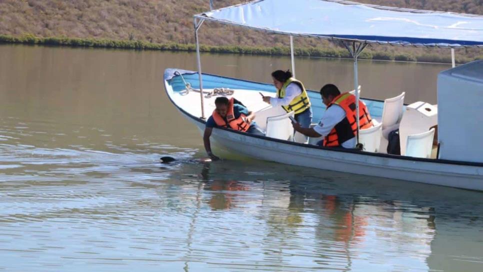 Exhortan a cuidar al Pechocho durante temporada vacacional