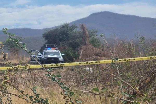 A golpes, matan a hombre junto a sembradío, en Culiacancito