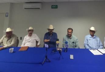 Inicia cosecha de trigo en Sinaloa, pero no hay precio