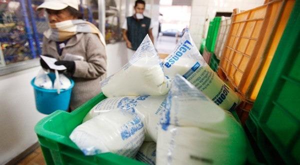 Listo Ahome para acopiar leche para Liconsa 